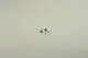 BOSCH-Schraube-Sicherungsring-2x-8738901744 gallery number 1